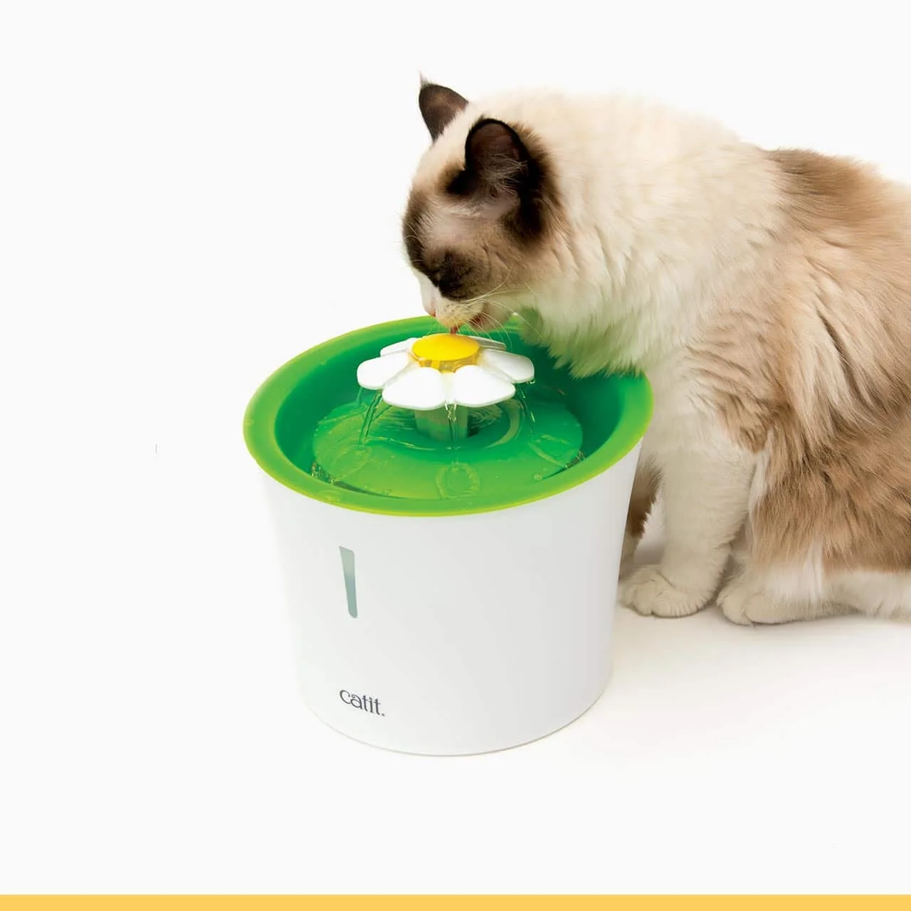 Catit Original Flower Fountain in the pictured configuration