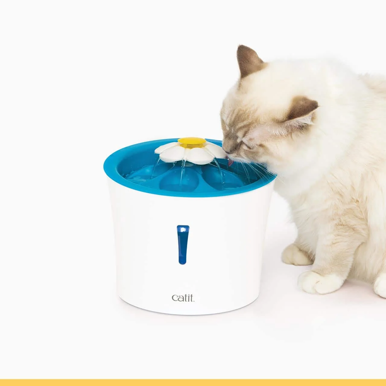 Catit LED Flower Fountain in the pictured configuration