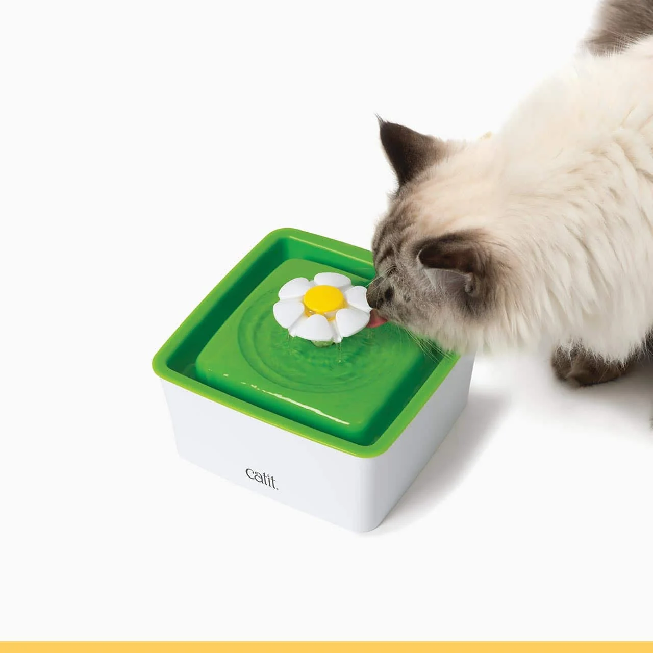 Catit Mini Flower Fountain in the pictured configuration
