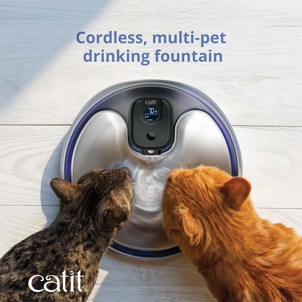 Catit PIXI Stainless Steel UV-C Fountain #43761 shown from above with two cats