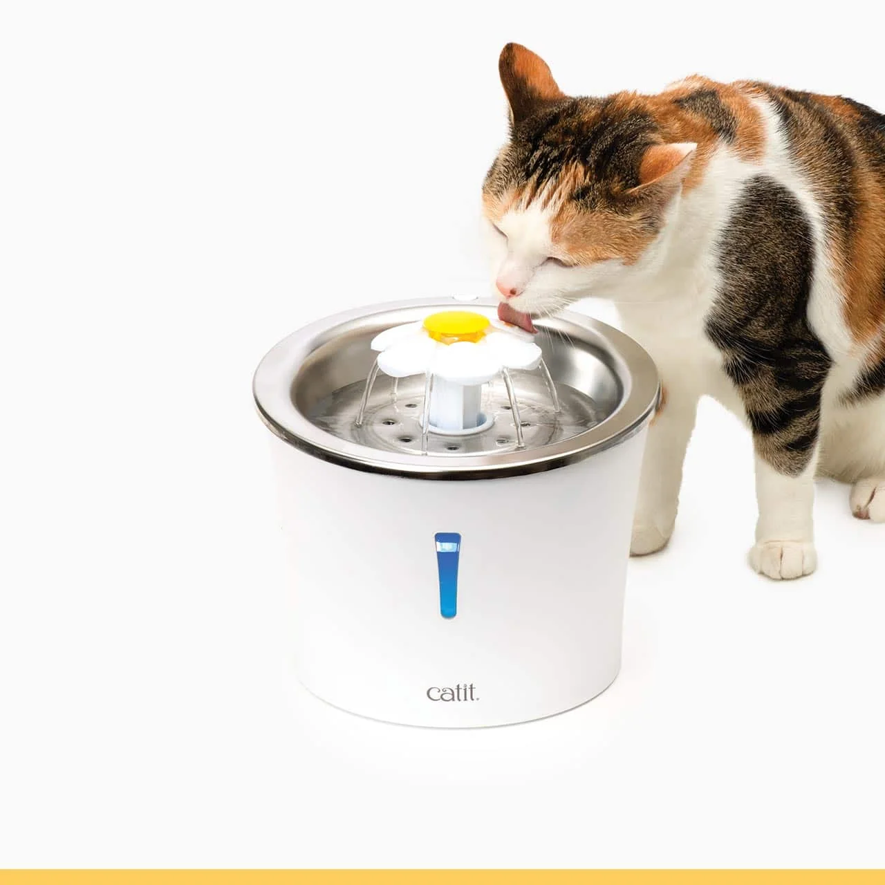 Catit Stainless Steel Flower Fountain in the pictured configuration