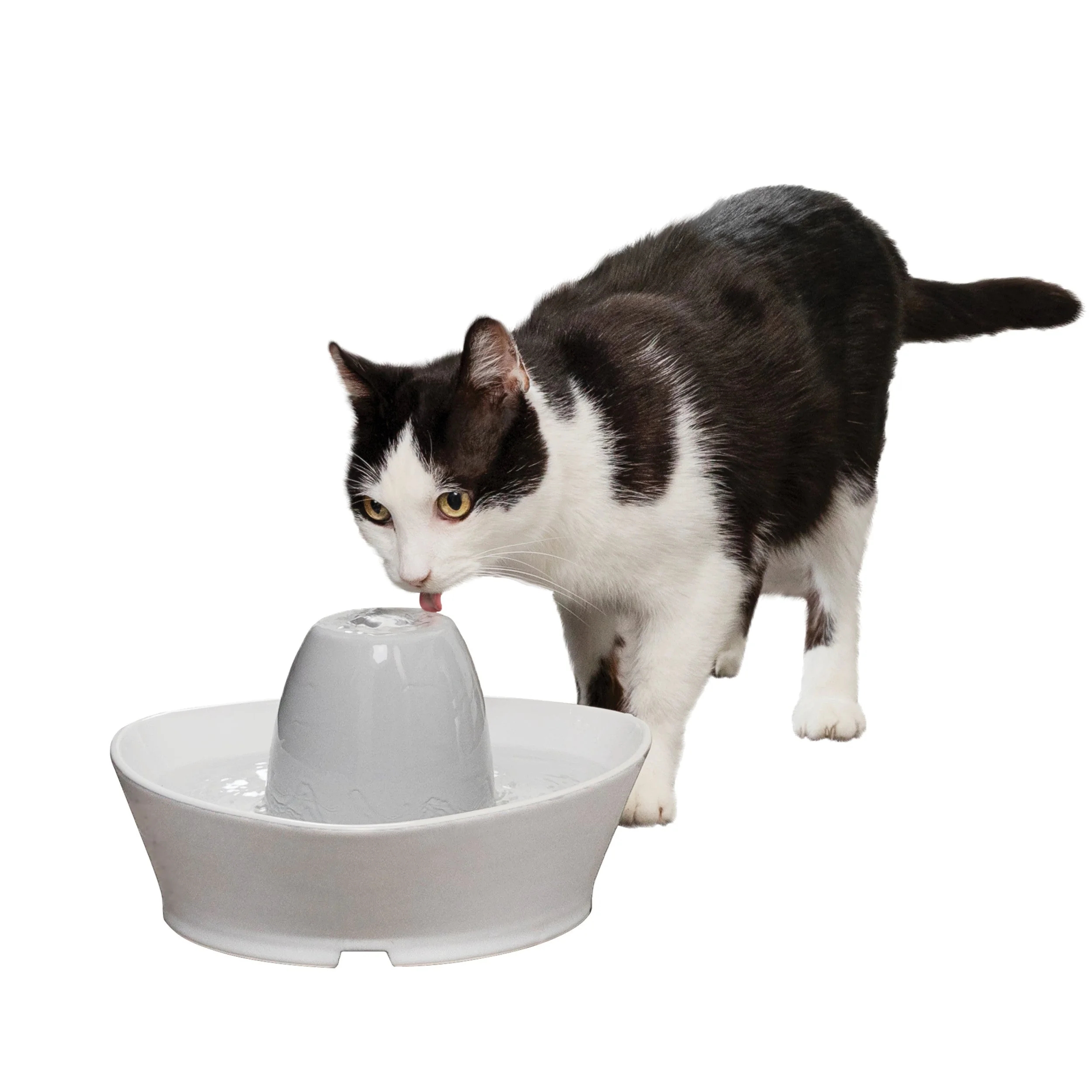 PetSafe Creekside Ceramic 60 oz fountain with a cat drinking