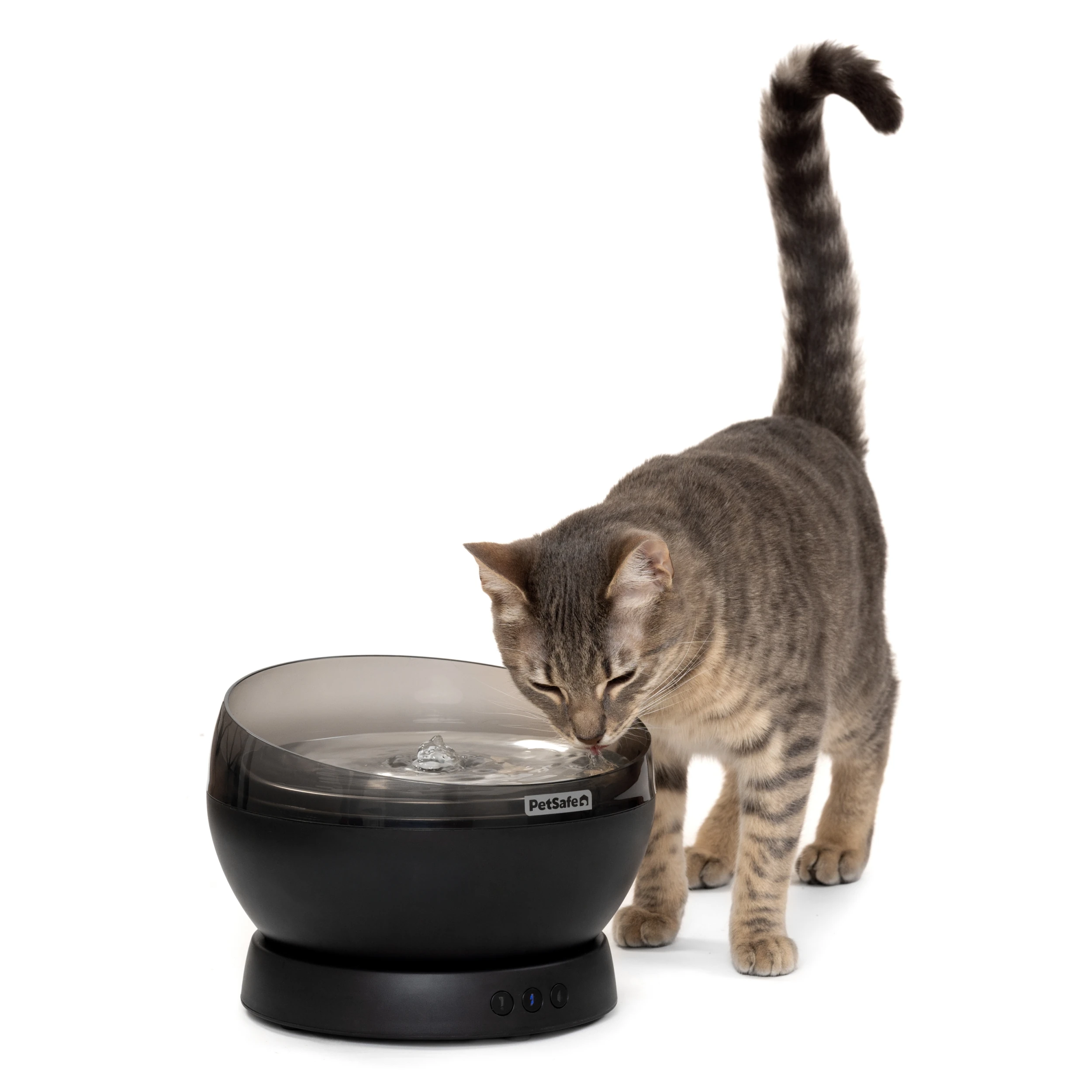 Black PetSafe HydroSphere Cordless fountain with a steel tray and a tabby cat