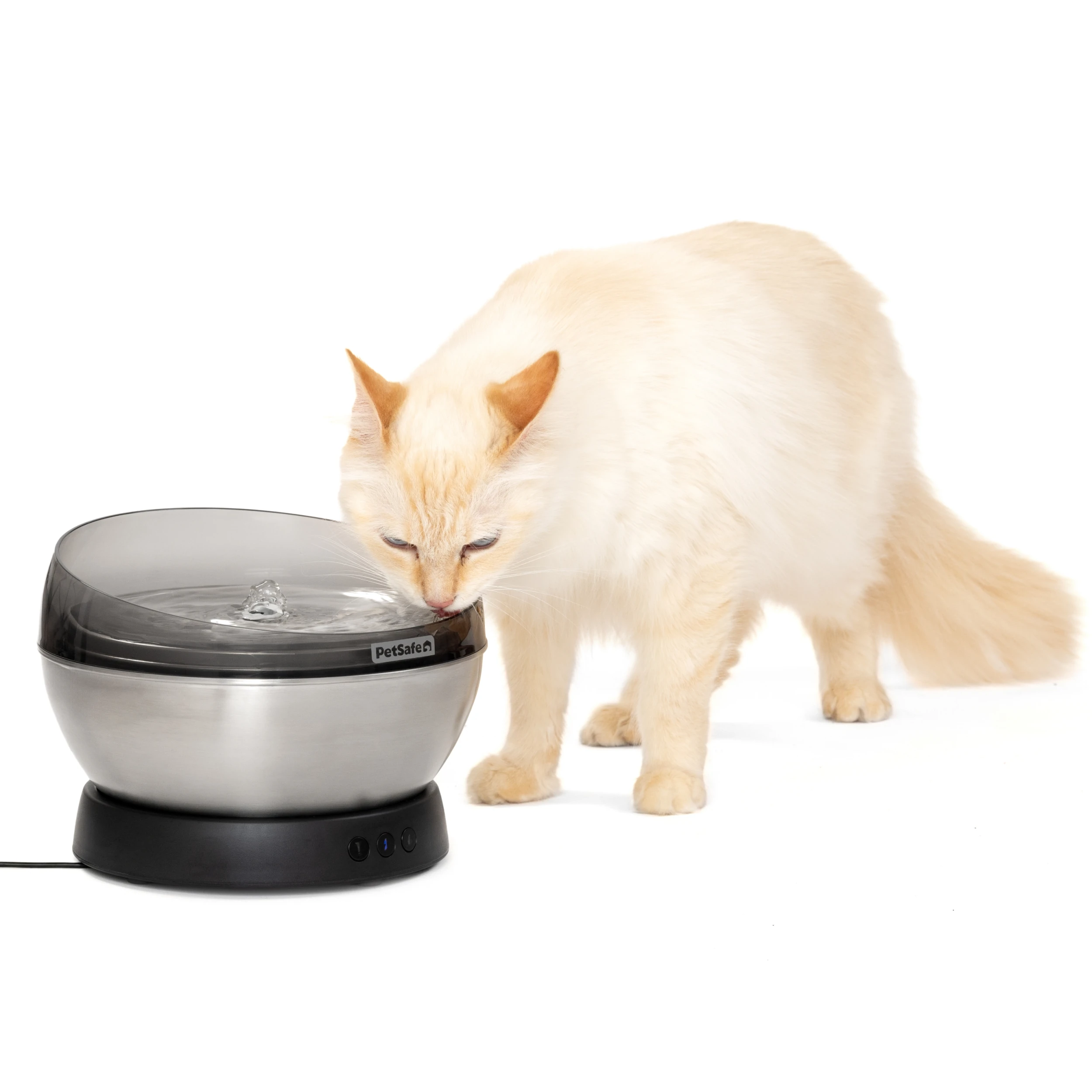 PetSafe HydroSphere Stainless fountain with a steel drinking surface and a cat