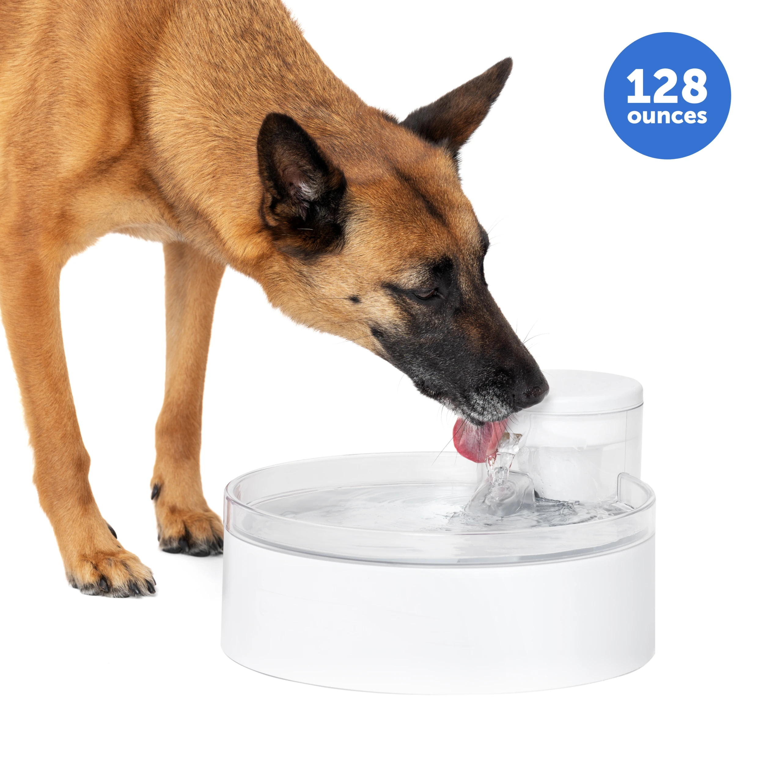 PetSafe Outlast 128 oz open-bowl fountain shown with a dog