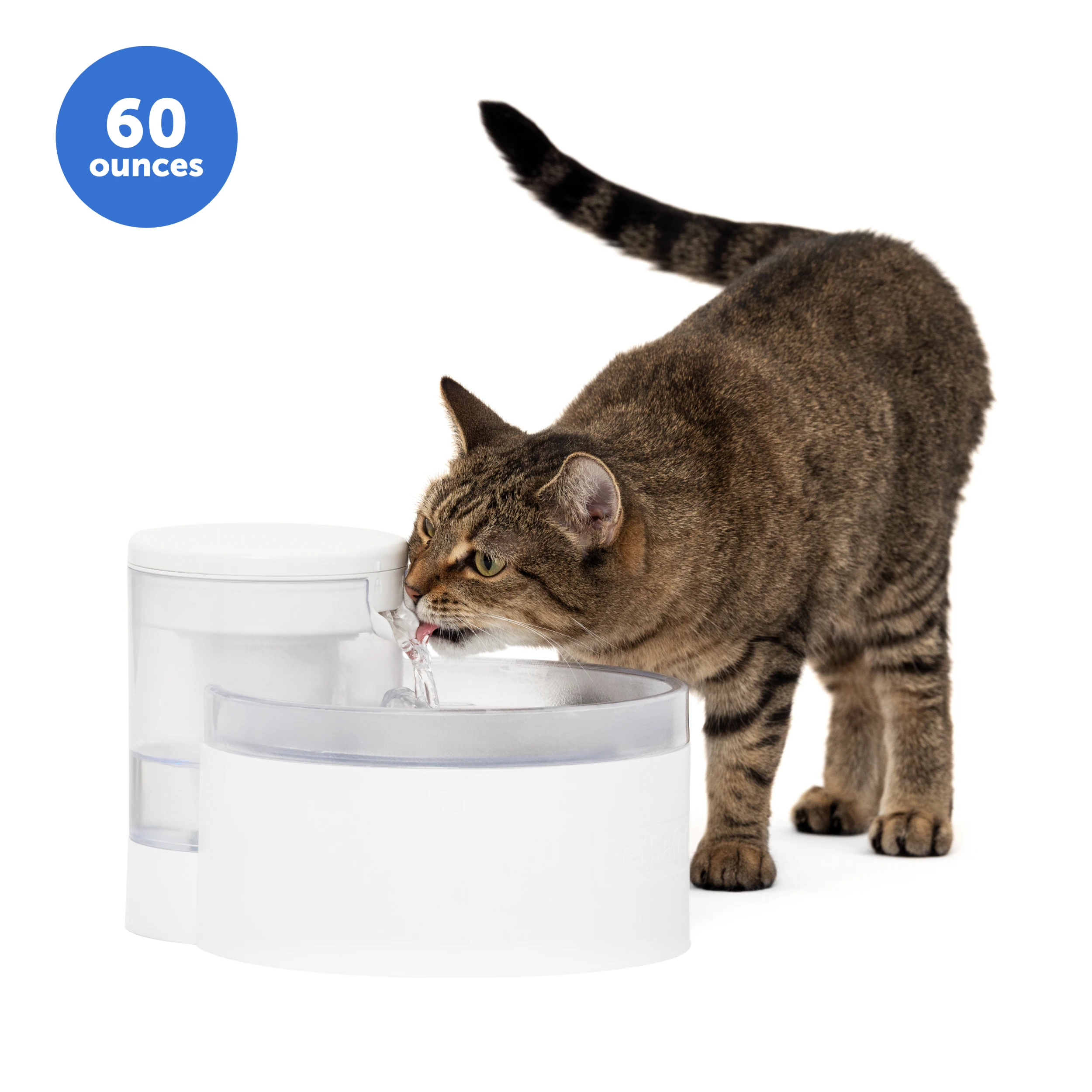 PetSafe Outlast 60 oz clear-tray fountain shown with a cat