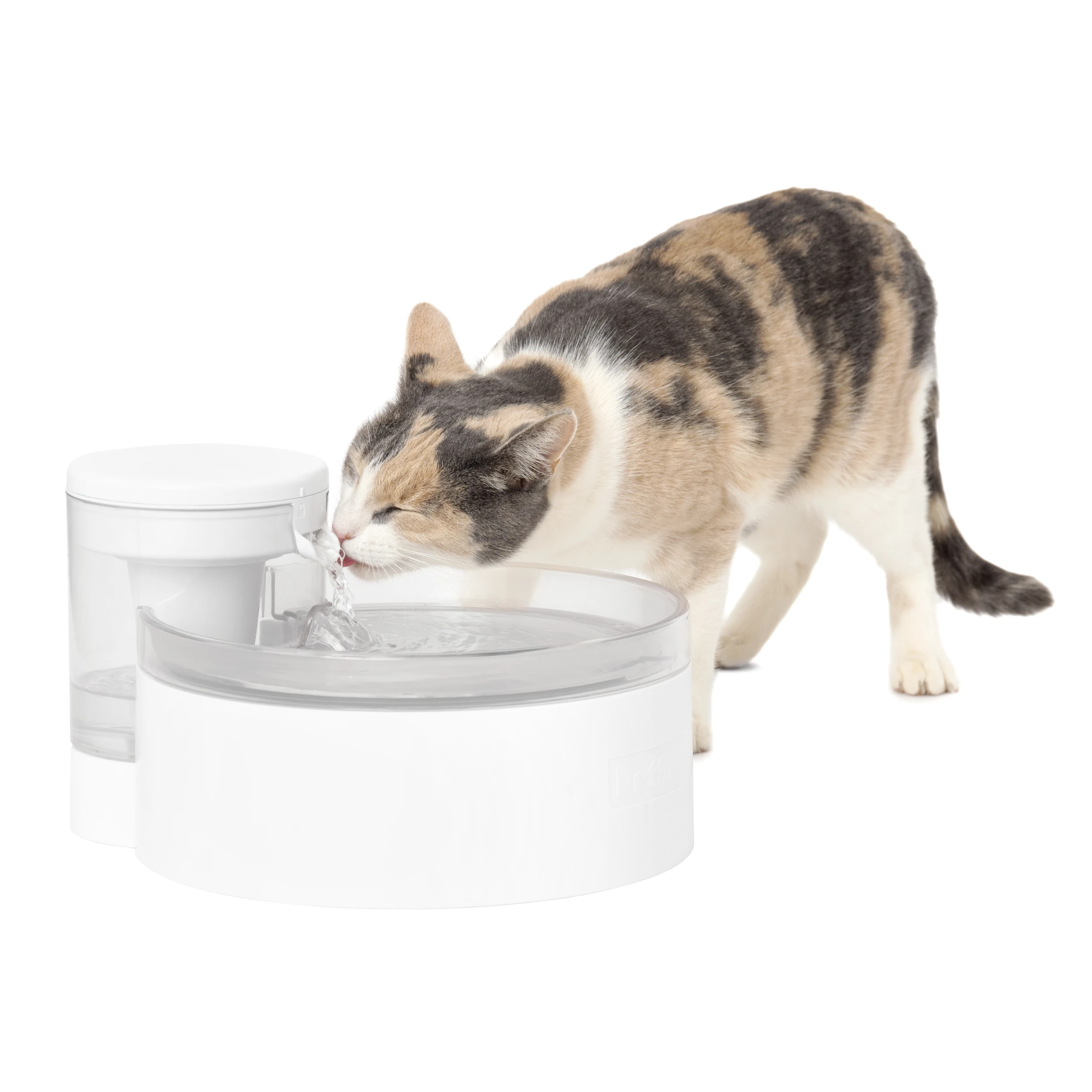 PetSafe Outlast 90 oz clear-tray fountain shown with a cat