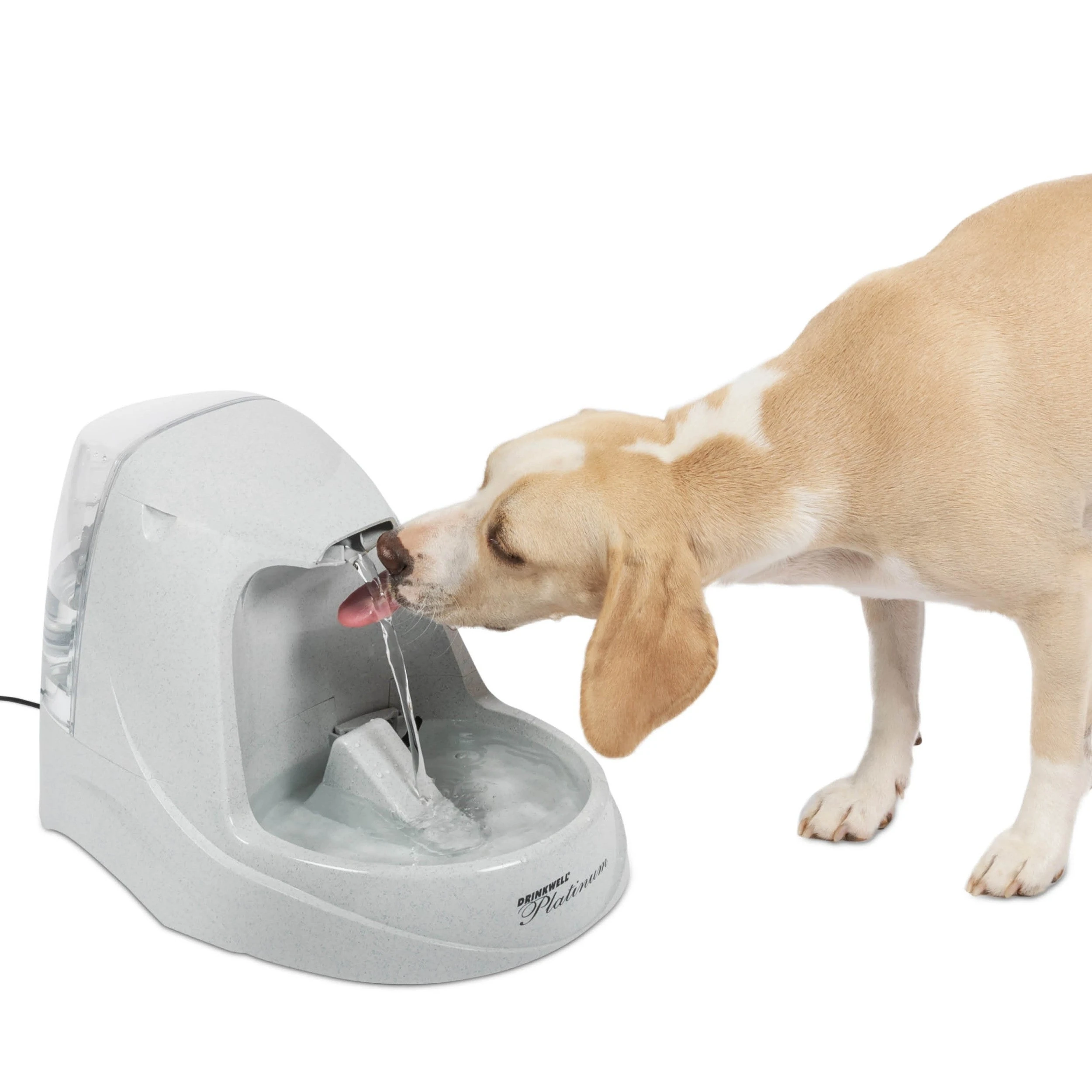 PetSafe Drinkwell Platinum PWW00-13703 white molded fountain with one falling stream and a dog drinking