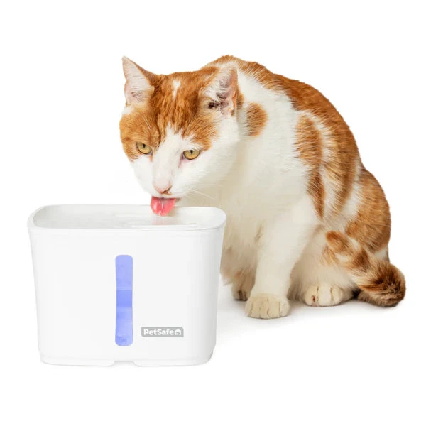 PWW00-17919 / 64 oz plastic fountain with its exact manufacturer demonstration pet