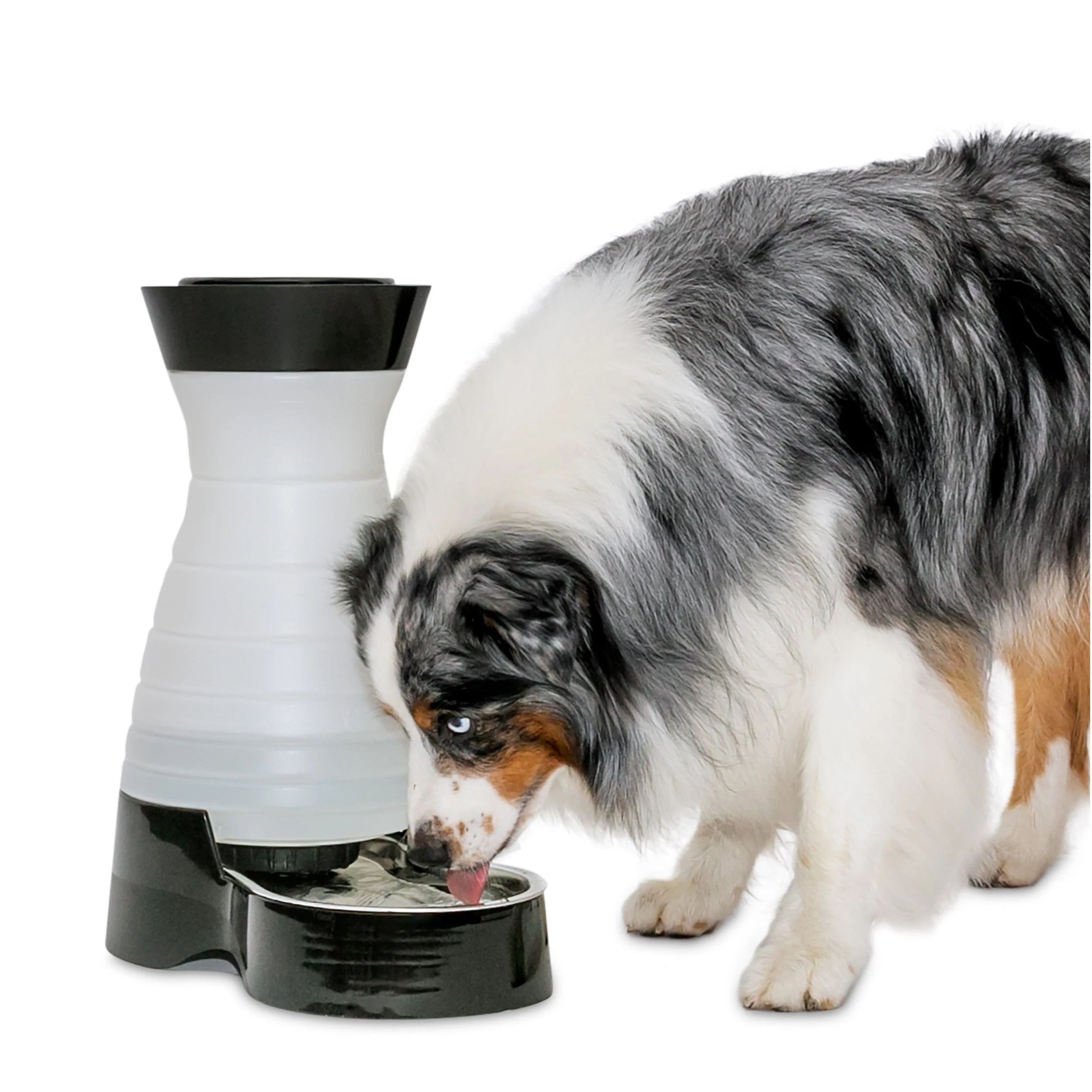 PetSafe Healthy Pet Water Station Large shown with its stainless-steel bowl and a pet drinking