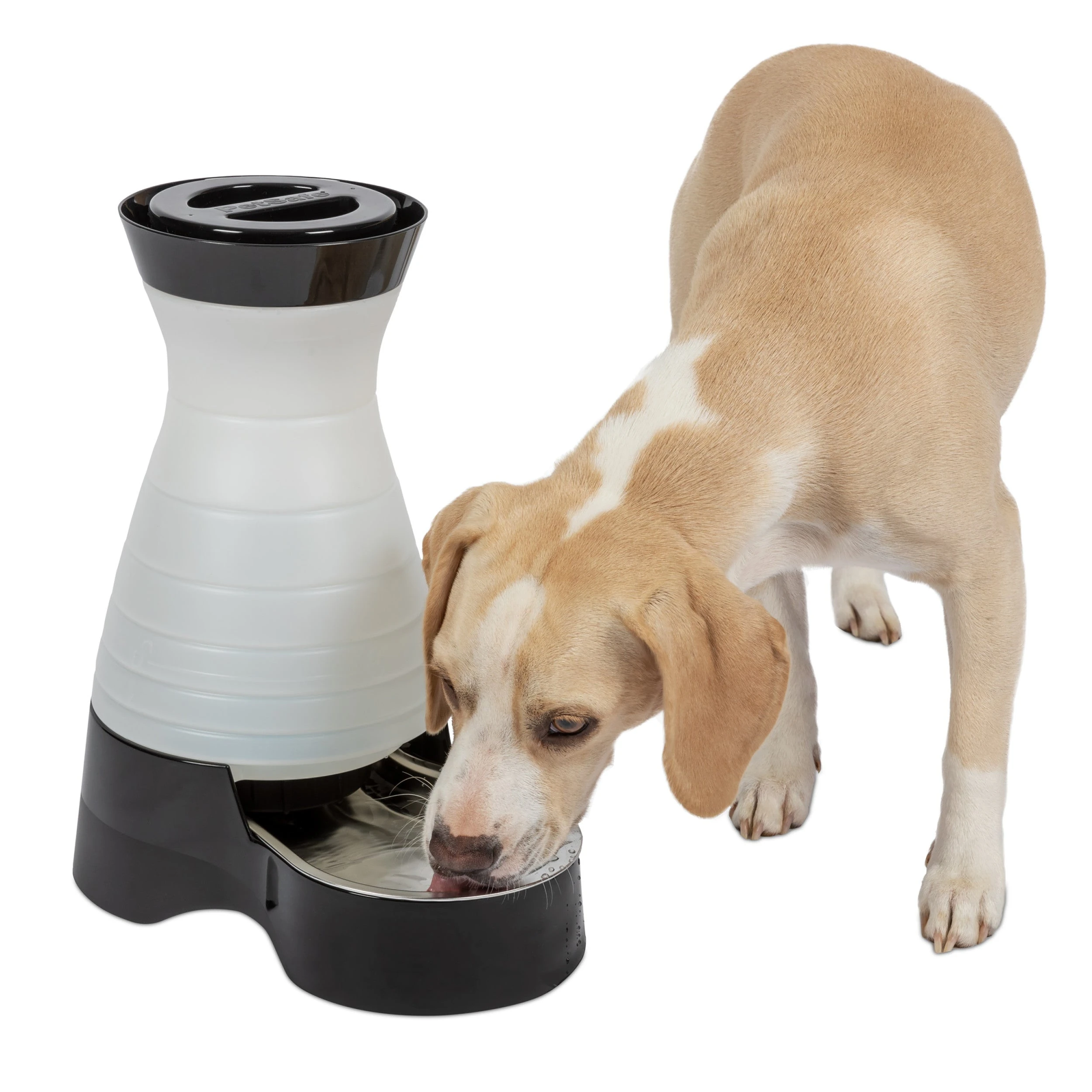 PetSafe Healthy Pet Water Station Medium shown with its stainless-steel bowl and a pet drinking