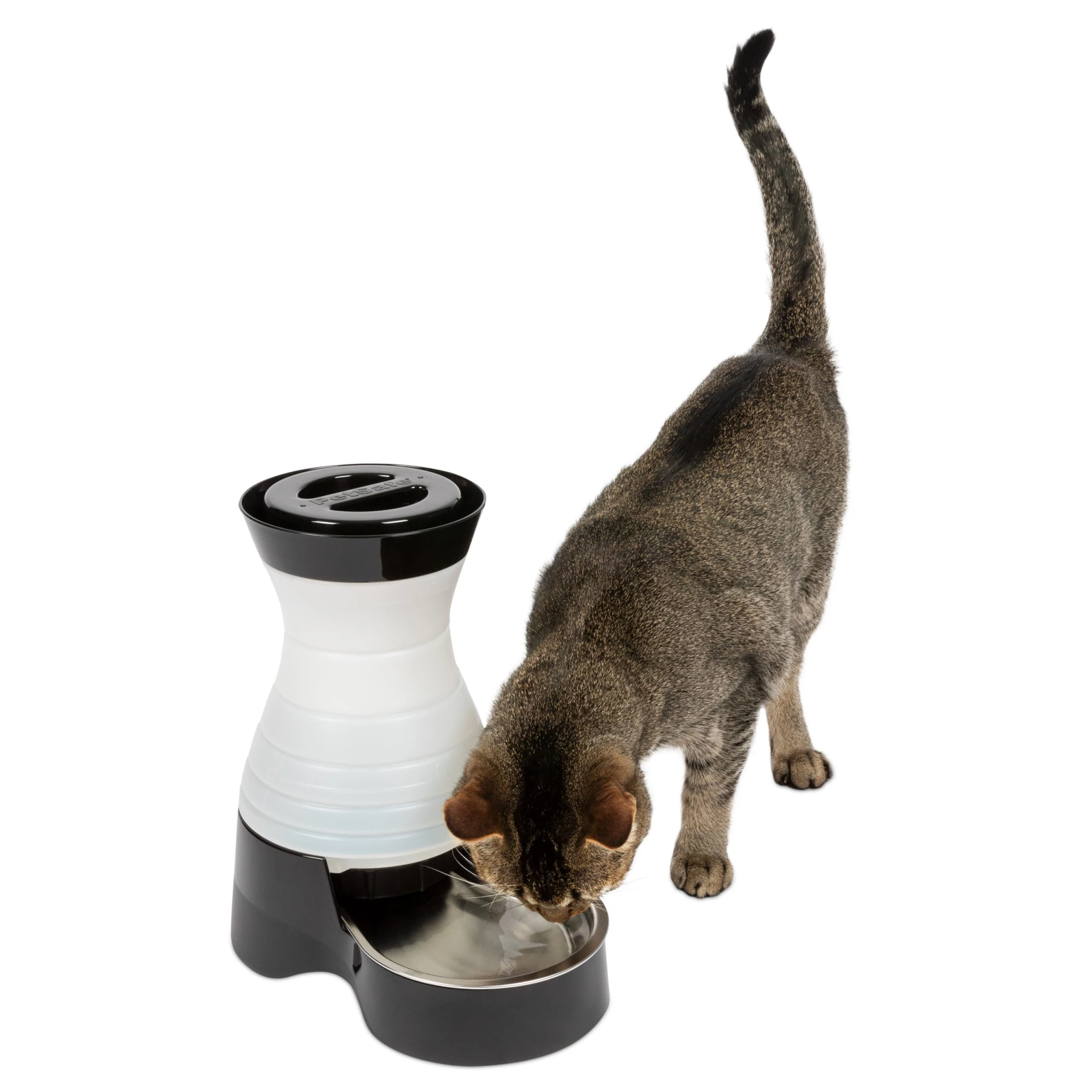 PetSafe Healthy Pet Water Station Small shown with its stainless-steel bowl and a pet drinking